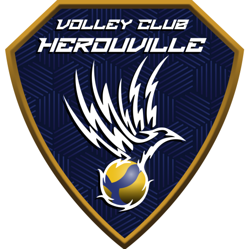 logo vch color